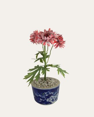 Tommy Mitchell Crysanthemum November Birth Flower in Ceramic Pot