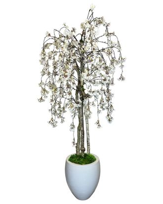 Creative Displays Inc. Cherry Blossom Tree In Fiberstone Planter