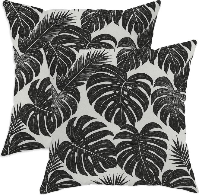 monstera adansonii mint virus Monstera Adansonii Indo Variegated – Wilderly