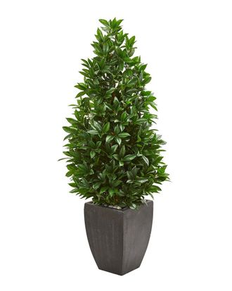 Nearly Natural 56In Bay Leaf Cone Topiary Uv-Resistant Artificial Tree In Planter (Indoor/Outdoor)