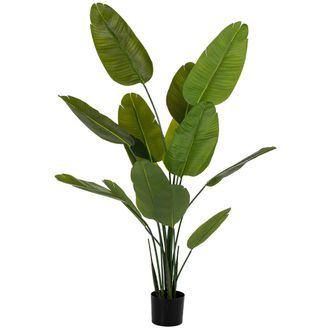 Wanderlust Deco Sterlitzia Decorativa Artificial Verde 80x80x180