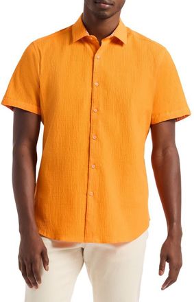 Robert Graham Piers Short Sleeve Stretch Cotton Button-Up Shirt in Orange at Nordstrom Rack, Size X-Large