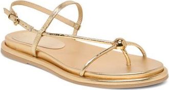 Dolce Vita Deane Strappy Sandal in Gold Distressed Leather at Nordstrom, Size 9.5