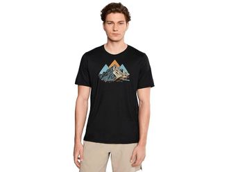 Smartwool Peak Bagger Active Short Sleeve Graphic T-Shirts Mens Workout Black : LG, Polyester/Wool