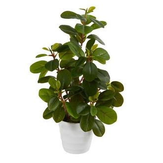 Nearly Natural 16-in Peperomia Artificial Plant in Decorative Planter in Green at Nordstrom