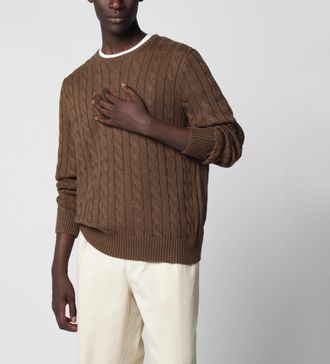 Polo Ralph Lauren Maglione girocollo a trecce in cotone marrone