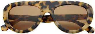 Freyrs Eyewear Jetsetter Aviator Sunglasses in Milky Tortoise at Nordstrom