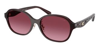 Coach HC8445D CBY85 Asian Fit 59158H Womens Sunglasses Red Size 56