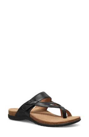 Taos Perfect Toe Loop Sandal in Black at Nordstrom, Size 11