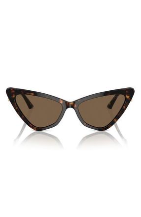 Jimmy Choo London 55mm Cat Eye Sunglasses in Havana /Dark Brown at Nordstrom