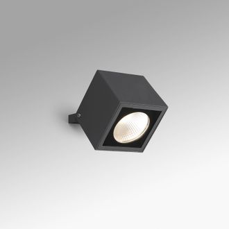 Netlighting Oko Outdoor Spotlight Dark Grey 20W IP65