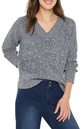 Nic+Zoe Shaker Stitch V-Neck Sweater in Indigo Mix at Nordstrom, Size Xx-Large