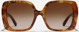 Dolce & Gabbana Dg Allure Sunglasses - Woman Havana Leo Acetate Onesize