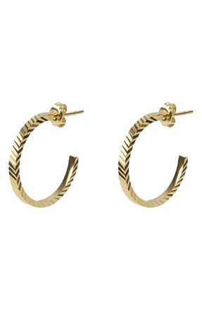 Argento Vivo Medium Hoop Earrings in Gold at Nordstrom