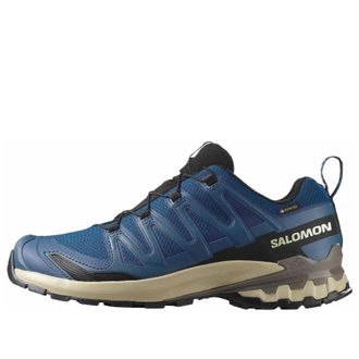 Salomon XA PRO 3D V9 GTX Blue 478172