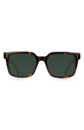 Raen Optics West 55mm Polarized Square Sunglasses in Kola Tortoise/Green Polar at Nordstrom