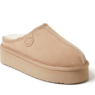 Dearfoams Fireside Queenstown Genuine Shearling Platform Clog Slipper in Sand at Nordstrom, Size 11