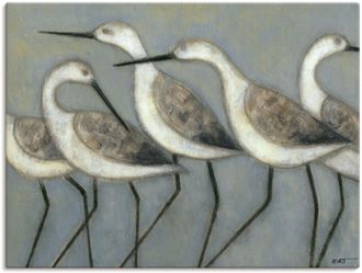 Artland Wandbild »Küstenvögel I« Vögel 1 Stk. tlg. als Alubild, Outdoorbild, Leinwandbild, Poster in verschied. Grössen