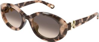 Chlo&eacute; Panthos Zonnebril - Dames - Zonnebrillen - Bruin - 54 MM - Nylon - Accessoires