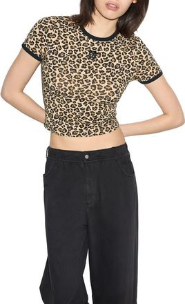 Converse Box Star Tee in Archive Cheetah Print at Nordstrom, Size X-Large