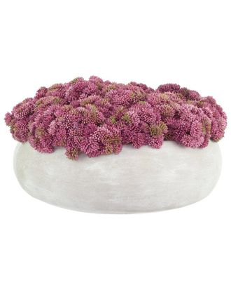 Creative Displays Inc. Sedum Arranged In A Stone Planter