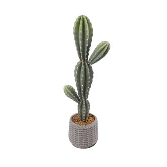OEM Cactus Artificial, Dimensiones 30 X 20 X 88 Cm, Material Eva, Estilo Bons&aacute;i, Para Colocar En El Suelo, Decoraci&oacute;n De Interiores