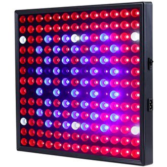 OEM L&aacute;mpara Led De Cultivo De 12 W A Un Precio Ultrabajo, Soluci&oacute;n De Iluminaci&oacute;n Para La Instalaci&oacute;n Y El Crecimiento De Plantas, Cob Blanco - 169 Led-cr