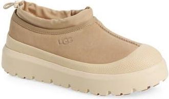 UGG Tasman Waterproof Hybrid Slip-On in Mustard Seed /Cream at Nordstrom Rack, Size 16