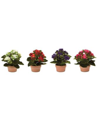Melrose International Set Of 4 Assorted Kalanchoe Flower In Terra Cotta