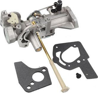OEM Carburador 498298 5hp 490533 492611 495426 495951 692784 Para Motor Briggs & Stratton 130202 112202 112232 134202 137202 133212