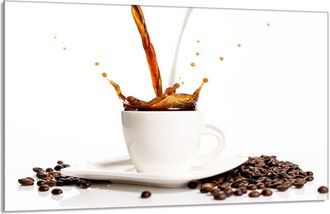 OEM Protector De Cristal Para Estufa 80x52 Caf&eacute;