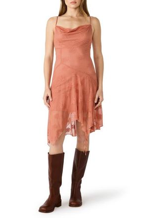 Steve Madden Corina Embroidered Slipdress in Canyon Rose at Nordstrom, Size X-Small