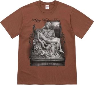 SUPREME FW26 Tears T-Shirt Brown FW26T66-BRN
