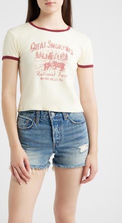 Daydreamer Great Smoky Mountains Graphic Ringer T-shirt in Pale Yellow Combo at Nordstrom, Size X-Small