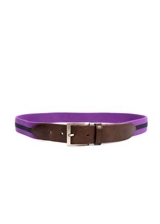 Carolina Herrera Carolina Hererra Brown Leather & Purple Canvas Belt