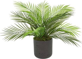 Creative Displays Inc. Uv-Rated Outdoor Palm In Fiberstone Pot