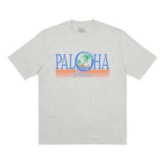 Palace FW22 Paloha T-Shirt Grey P23TS040
