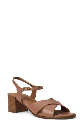 Aquatalia Domenica Weatherproof Ankle Strap Sandal in Clay Nappa at Nordstrom, Size 10.5