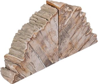 Sagebrook Home 6in Petrified Wood Bookends