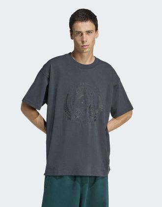 adidas Originals & All Blacks - T-shirt a maniche corte ampia grigia con grafica-Grigio