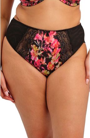 Elomi Morgan Briefs in Hot House at Nordstrom, Size 3X-Large