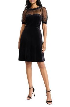 Maggy London Illusion Short Sleeve Velvet Fit & Flare Dress in Black at Nordstrom Rack, Size 18W (Similar To 16W)