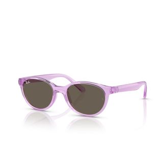 Ray-Ban Ovale Zonnebril - unisex - Zonnebrillen - Paars - 45 MM - Accessoires