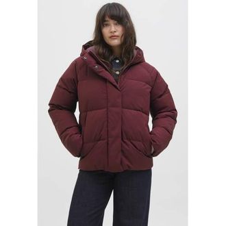 Jack & Jones gewatteerde jas donkerrood