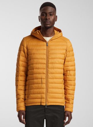 Gold winter jacket online