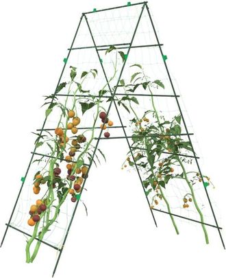 vidaXL Enrejados De Jard&iacute;n Plantas Trepadoras Forma A 2 Unidades Acero Vidaxl