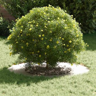 Berkfield Home Plastic Planter White Plastic Medium Durable Plastic Planter