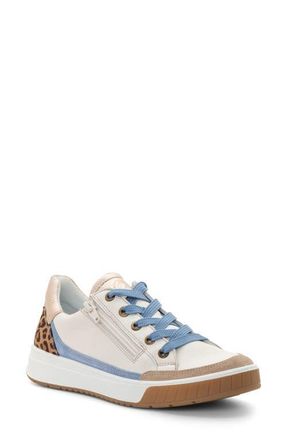 Ara Rio Sneaker in Cream/sand/blue/nature at Nordstrom, Size 10.5
