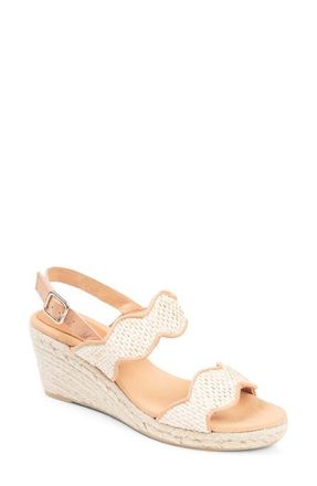 Patricia Green Palm Beach Wedge Sandal in Natural Raffia at Nordstrom, Size 10