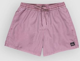 Quiksilver Everyday Surfwash Volley 15 Boardshorts groen